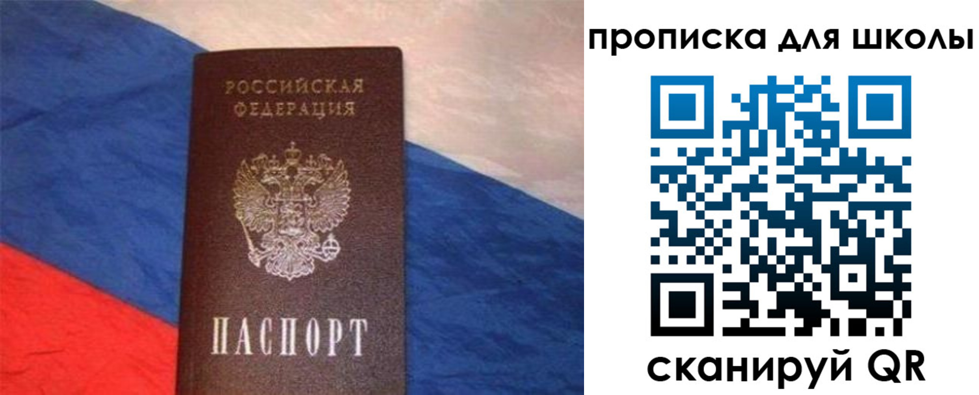 прописка поиск в Новгородской области